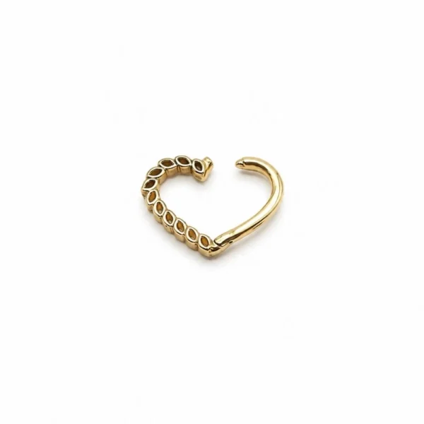 Kalp Model Geçirmeli Altın Helix Piercing Kalp Model Geçirmeli Altın Helix Piercing