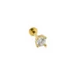 Kare Tektaş Model Tragus