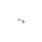 Kelebek Model Altın Tragus Piercing | TRG00064