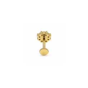 Papatya Tragus Piercing