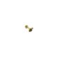 Uğur Böceği Tragus Piercing | TRG00082