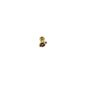 Uğur Böceği Tragus Piercing | TRG00082