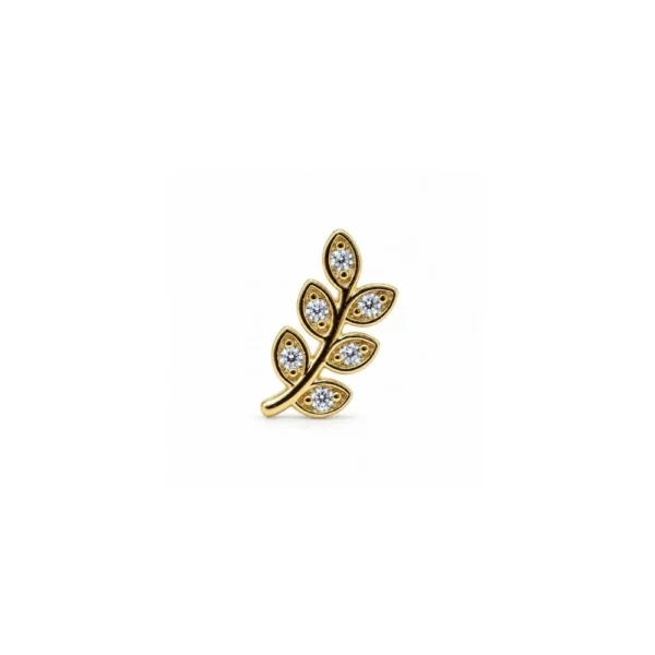 Yaprak Model Tragus Yaprak Model Tragus