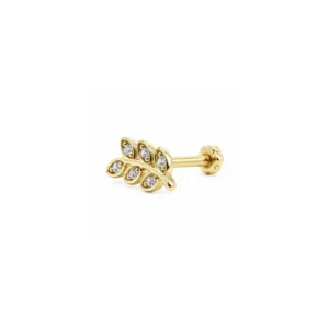 Yaprak Model Tragus