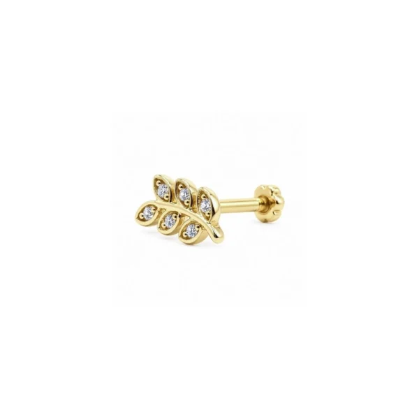 Yaprak Model Tragus Yaprak Model Tragus