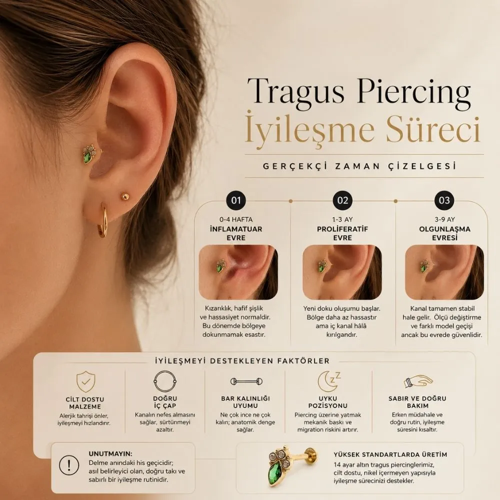 Tragus piercing iyileşme sürecindeki inflamatuar, proliferatif ve olgunlaşma evrelerini detaylandıran gerçekçi zaman çizelgesi.